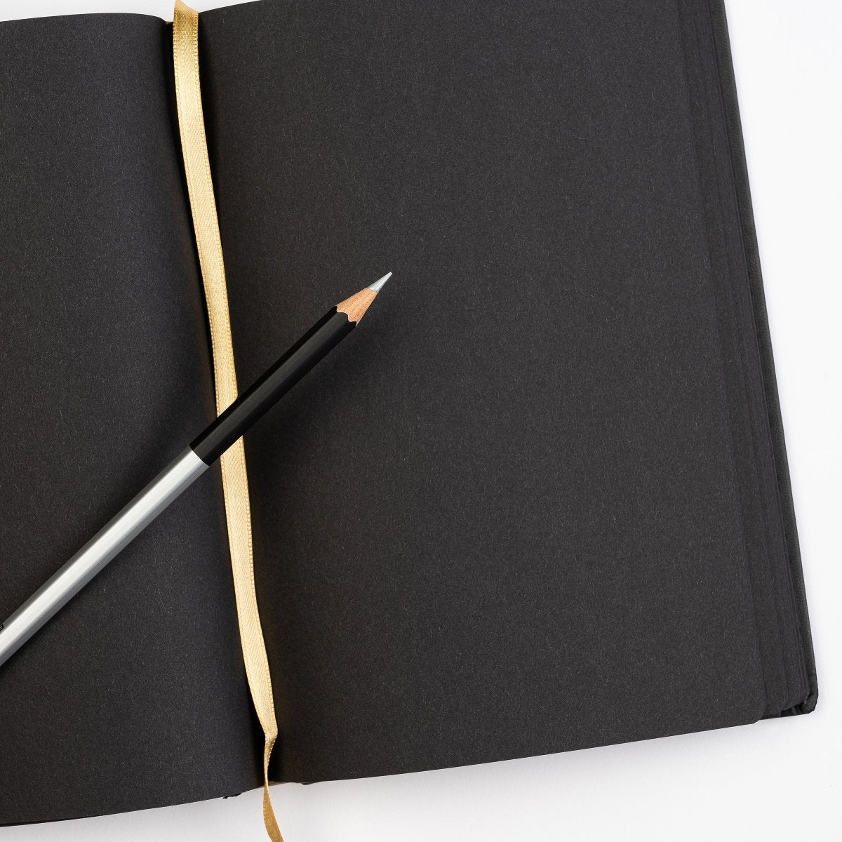 Blackwing Lab 05.13.25 Black Paper Notebook with Silver Pencil