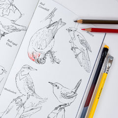 Blackwing Quarterly Zine - Issue 2 (Vol. 458)