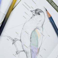 Blackwing Quarterly Zine - Issue 2 (Vol. 458)