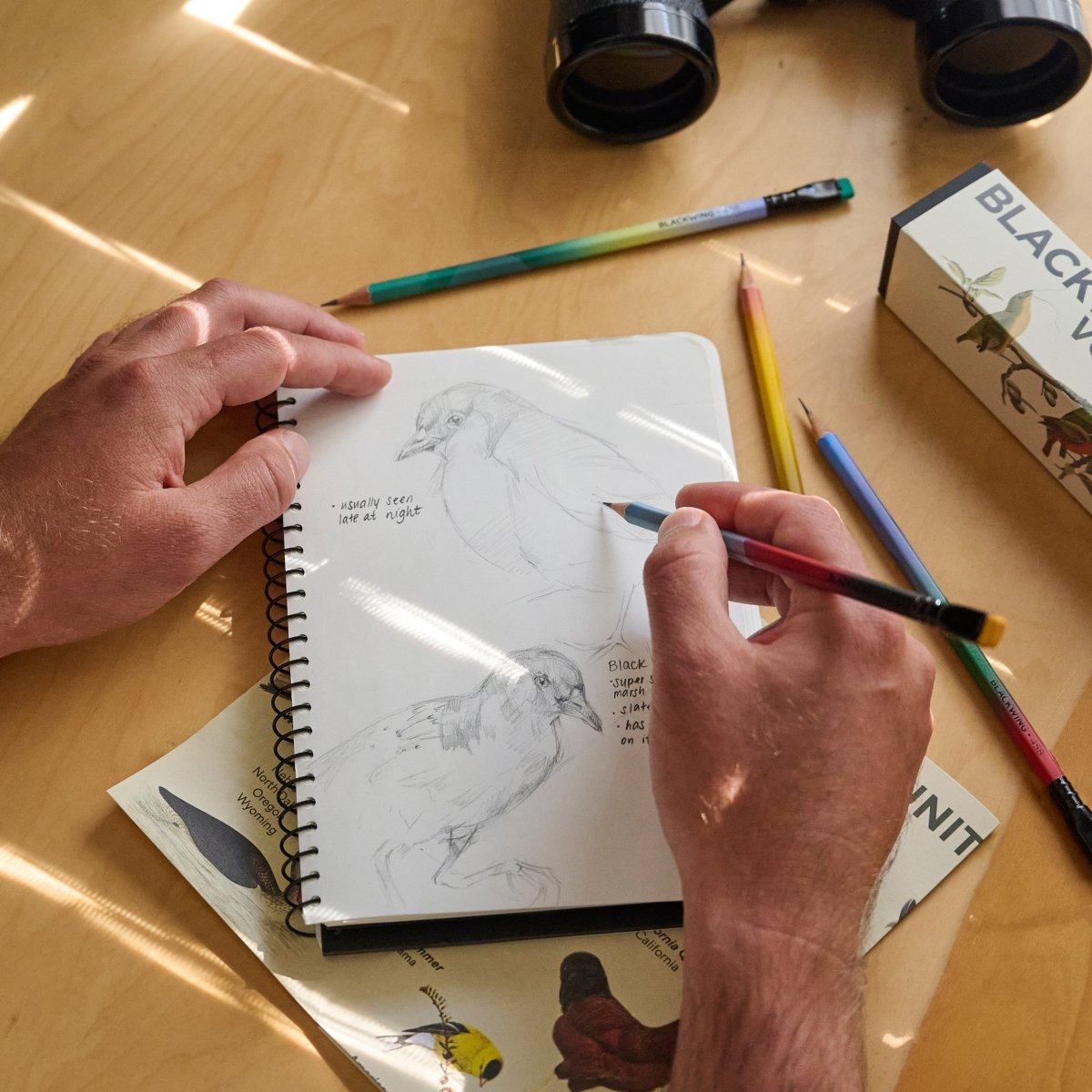 person holding a pencil, sketching birds and notes into a spiral notebook. The desk has binoculars, other pencils, a birding poster, and a pencil box