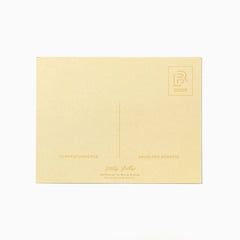 Blackwing Volume 223 Postcards